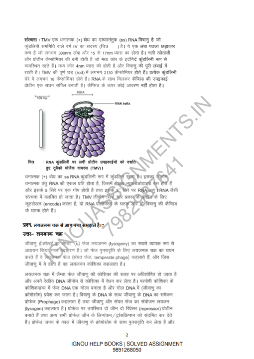 IGNOU BBYCT-131 Guess Paper Solved Hindi Medium