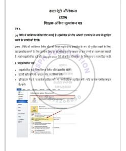 NIOS 229 (Data Entry) Solved Assignment 2023-24 Hindi Medium