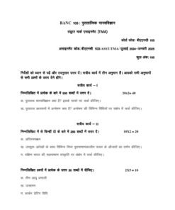 IGNOU BANC-103 Solved Assignment 2024-25 Hindi Medium